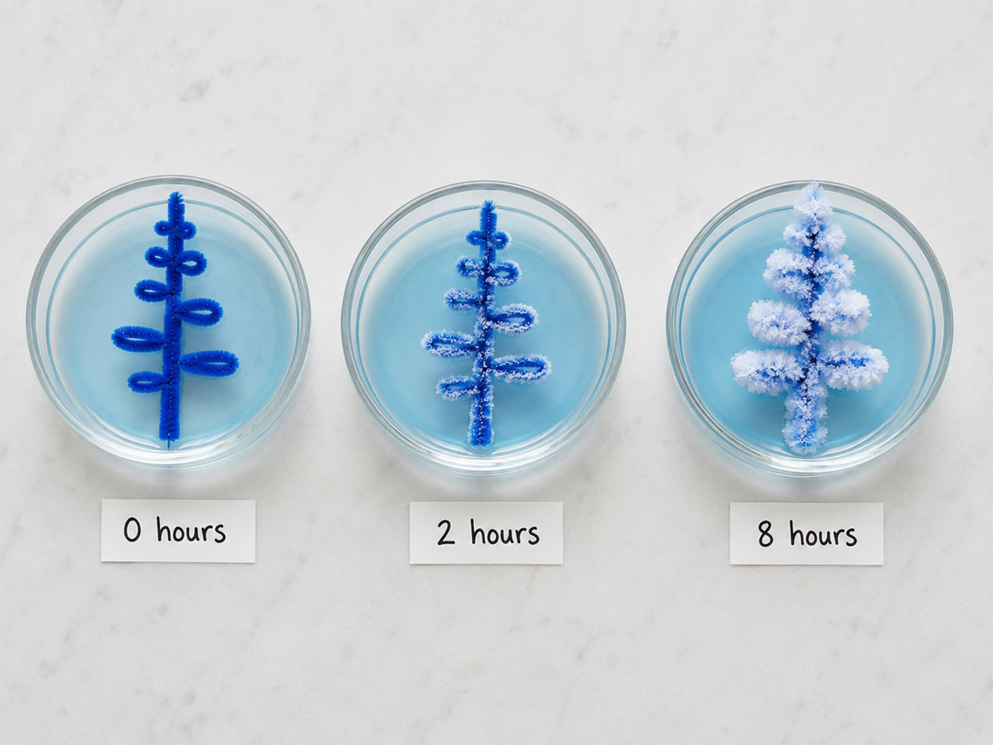 Baking soda crystal growth progress over several hours