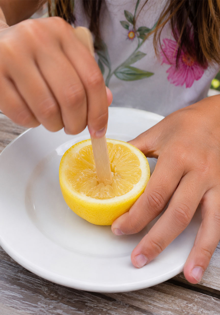 Child using craft stick to poke and mash lemon for volcano experiment