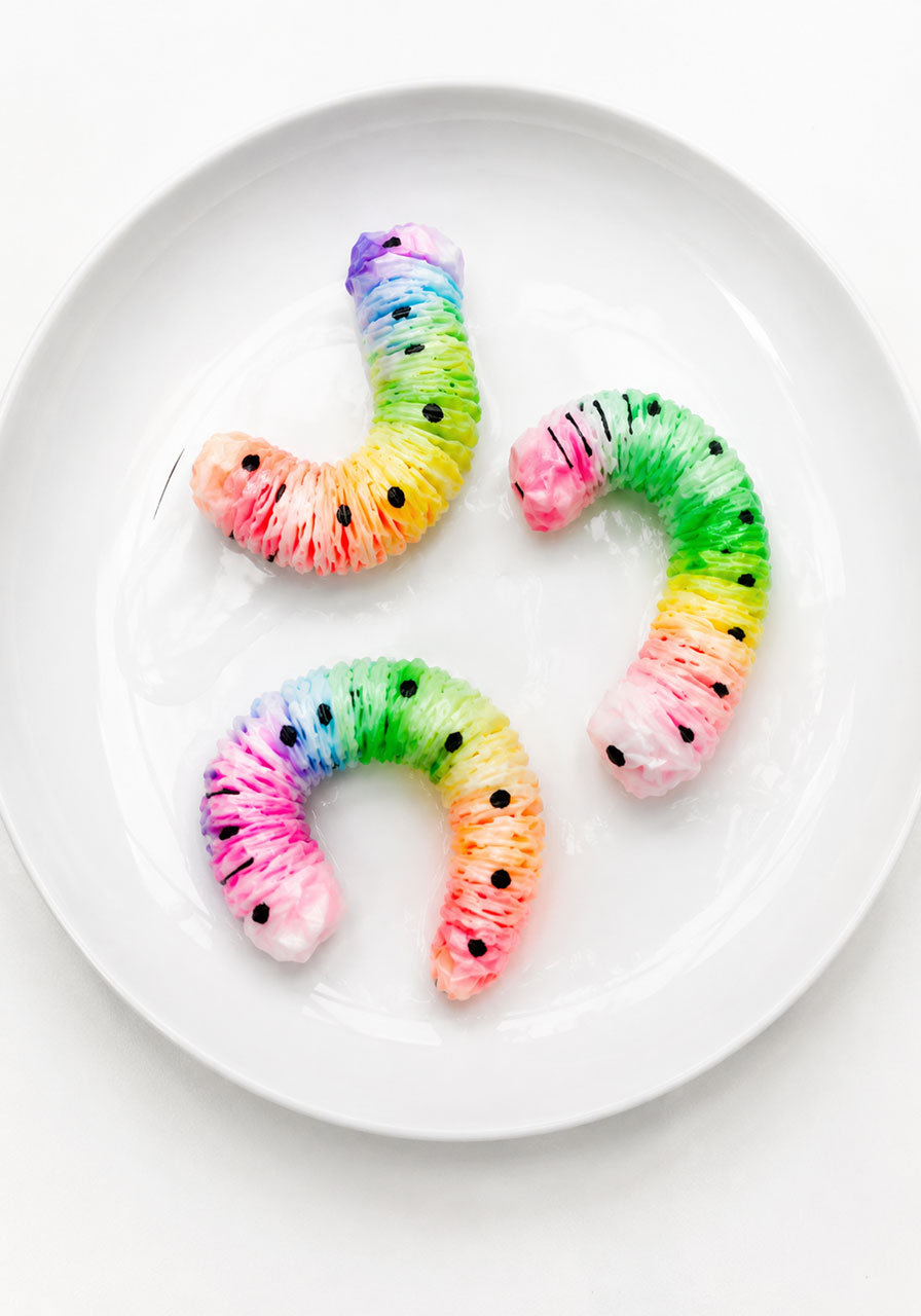 Fully grown colorful paper worms after the science experiment water reveal