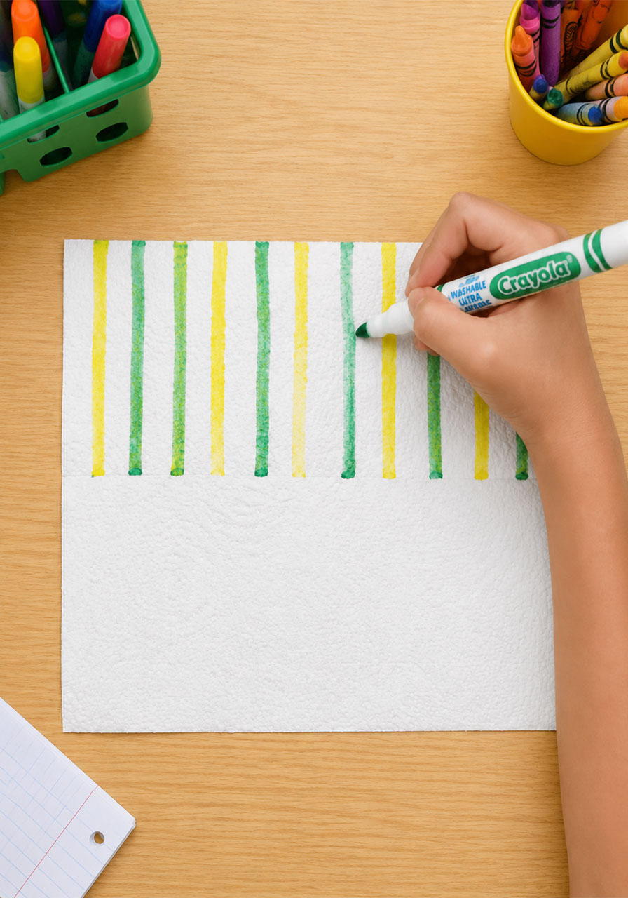Drawing washable marker lines on paper towel for the growing worm experiment