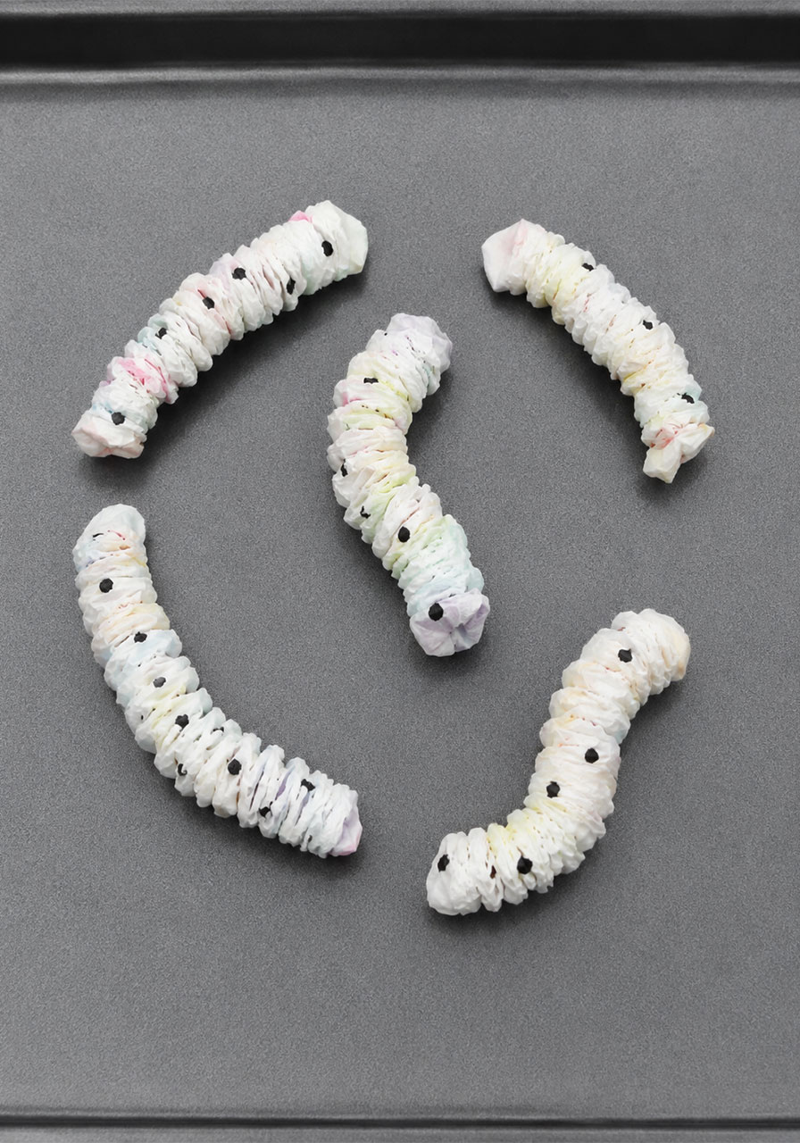 Dry scrunched paper towel worms ready for the water reveal