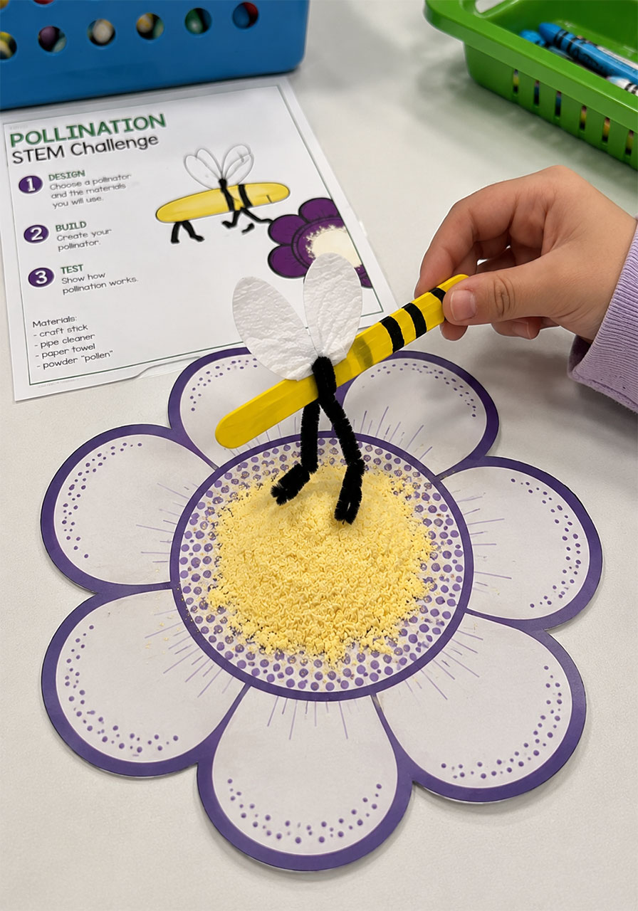 Model bee made from craft stick and pipe cleaners touching pollen powder on a purple flower template for a pollination STEM activity