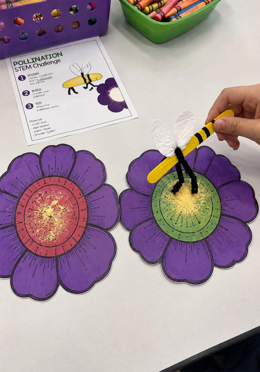 Bee model transferring pollen powder from one flower to another during a pollination STEM activity demonstration