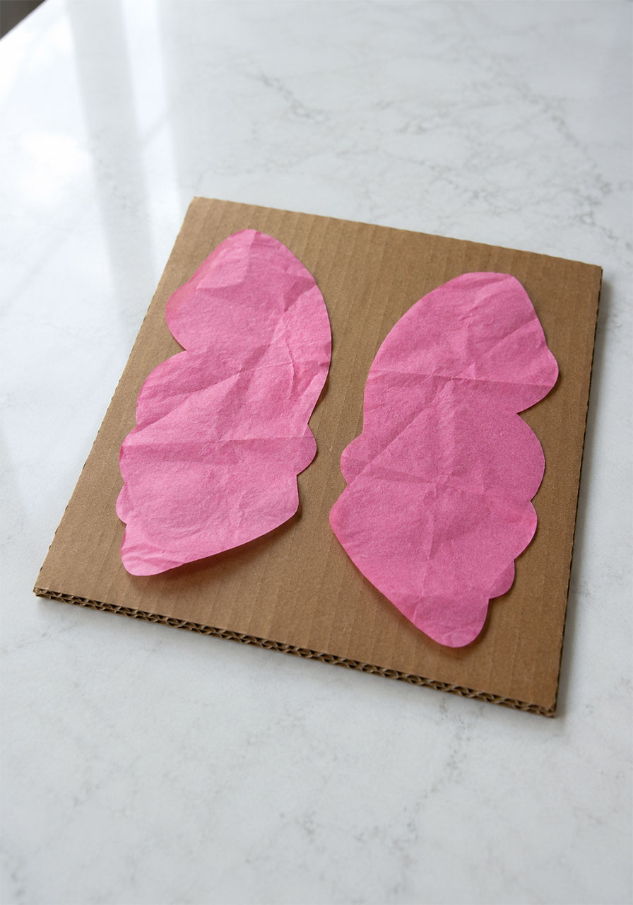 Pink tissue paper butterfly wings placed loosely on cardboard without glue for static electricity experiment