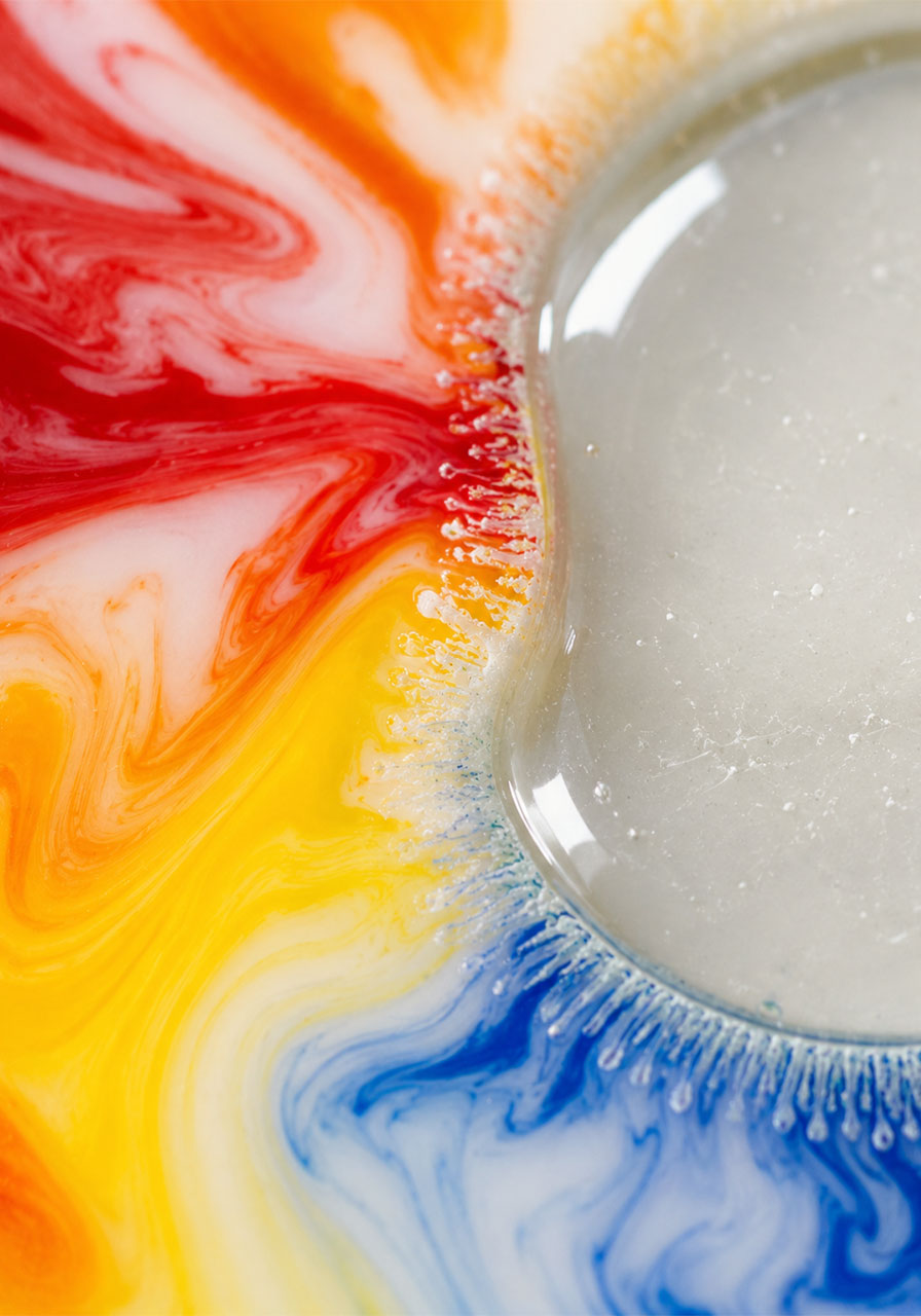 Close-up of surface tension breaking during the milk and dish soap color explosion reaction