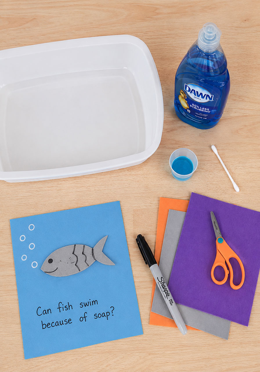 Supplies needed for swimming fish science experiment including craft foam dish soap and scissors